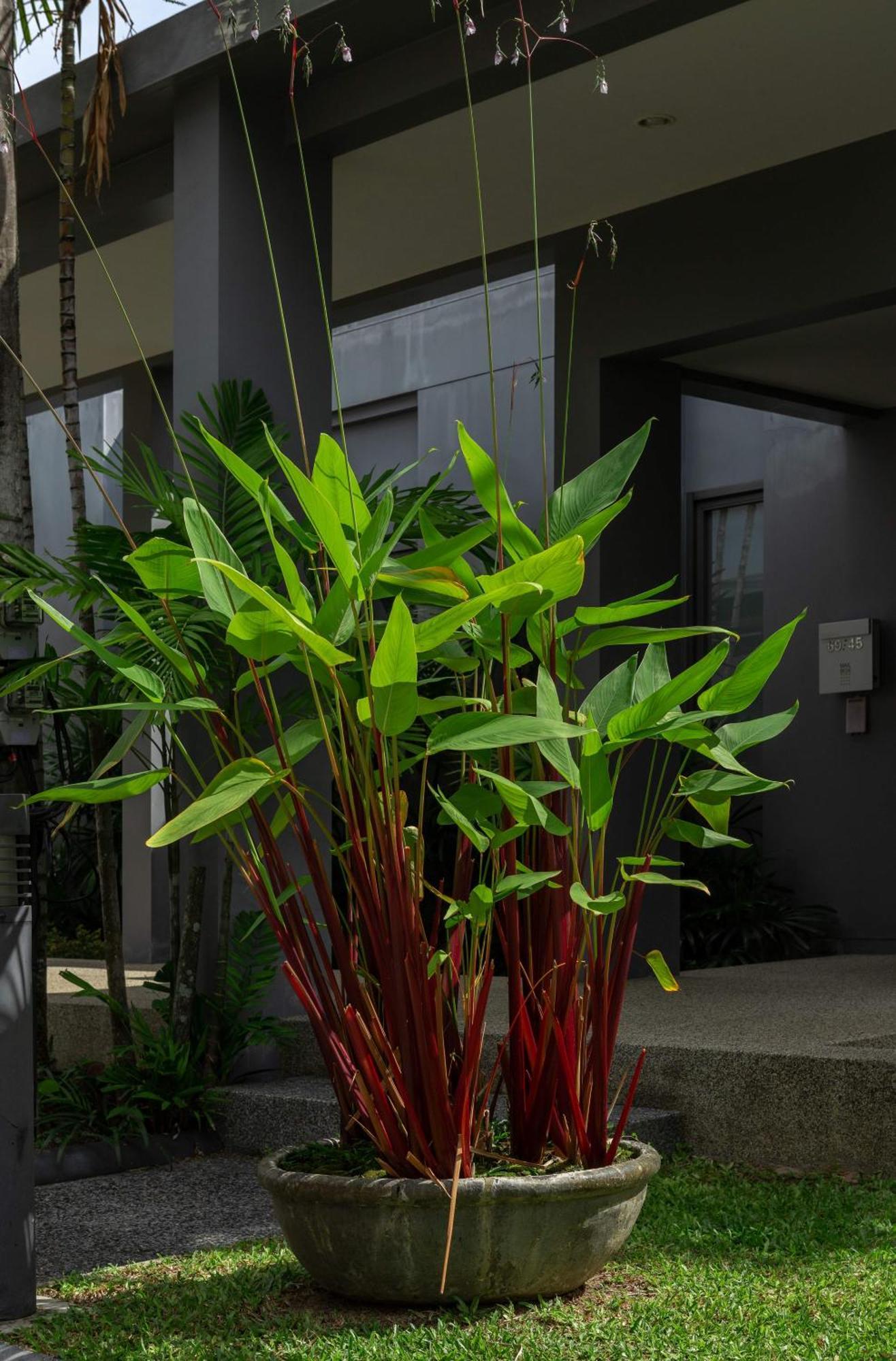 Villa Galam | Private Pool | Onyx Villas By Tropiclook | Naiharn Beach Nai Harn Exterior photo